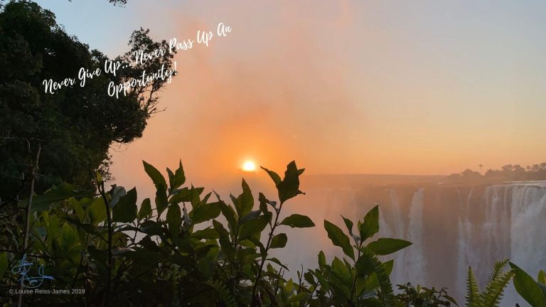 Never Give Up... Never Pass Up An Opportunity