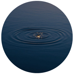 A journey in meditations